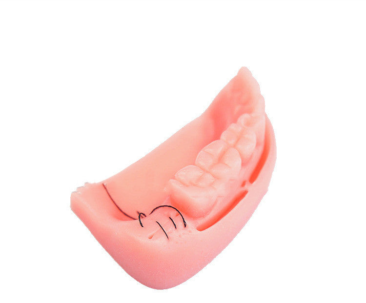 Medical Teaching Oral Suture Training Module